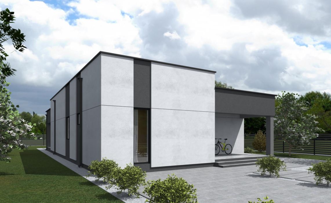 Тидберг ПазлХаус, крыша плоская