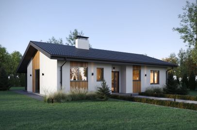 Кухня-гостиная боковая, терраса задняя 100 м²